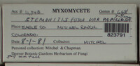 Image Associated With the Occurence